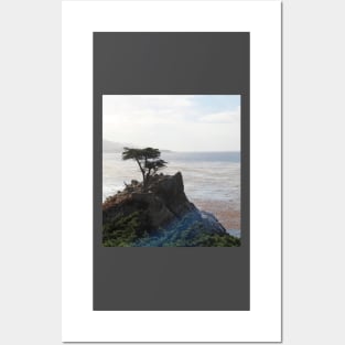 Lone Cypress Pebble Beach California Posters and Art